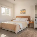 Madeira Rooftop Studio, Ocean & City View